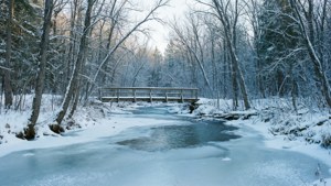 Creek in Winter