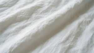Crisp White Cotton Sheet