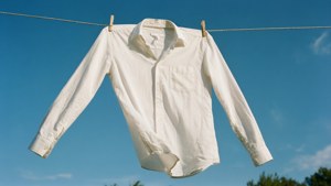 Crisp White Shirt