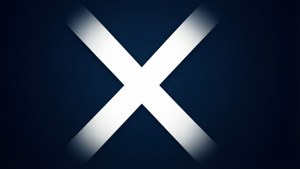 Crisp White X Navy