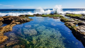 Cronulla Rock Pool