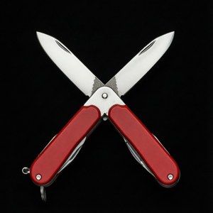Crossed Switchblades Symmetry
