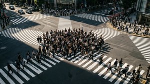 Crosswalk Patterns