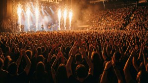 Crowd at Concert