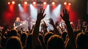 Crowd Hands Up