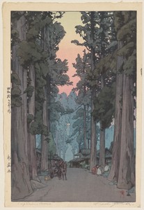 Crytomeria Avenue