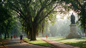 Cubbon Park Serenity
