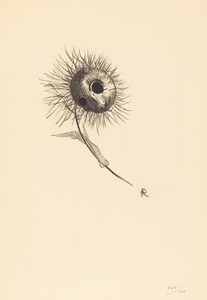 Cul-de-Lampe