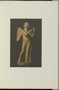 Cupid