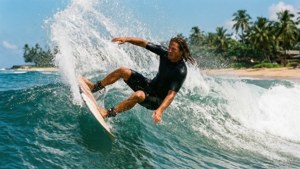 Cutback in Tropical Blue