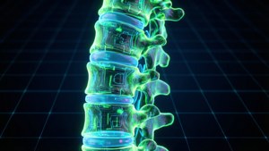 Cyber Spine