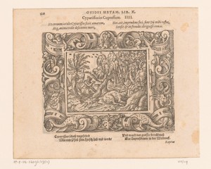 Cyparissus in een cipres veranderd