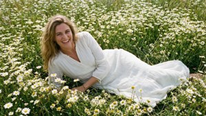 Daisy Field Bliss