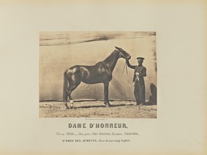 Dame D'Honneur