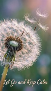 Dandelion Keep Calm