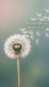 Dandelion Wishes