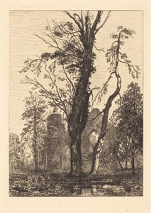 Dans un Parc