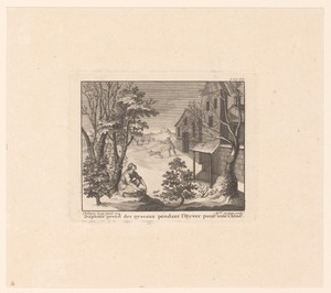 Daphnis op vogeljacht in de winter