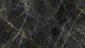 Dark Marble Gold Veins