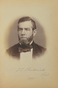 David C. Broderick