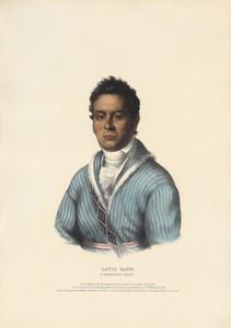 David Vann - A Cherokee Chief