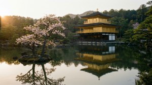 Dawn at the Golden Pavilion