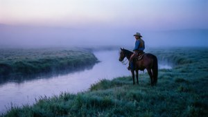 Dawn by the River