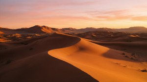 Dawn Dunes