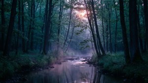 Dawn in the Dark Forest