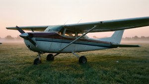 Dawn in the Field