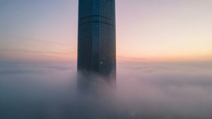 Dawn Mist