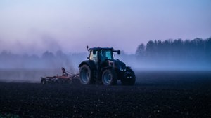 Dawn Plowing