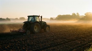 Dawn Plowing