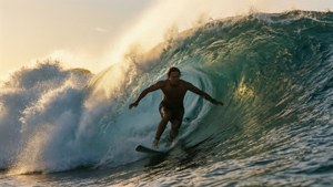 Dawn Wave Rider