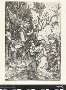 De aankondiging aan Joachim