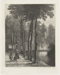 De berkenlaan