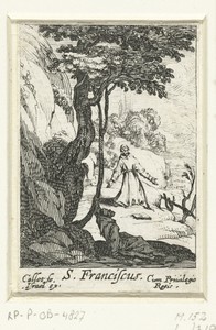 De boetvaardige Franciscus