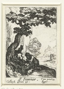 De boetvaardige Johannes de Doper