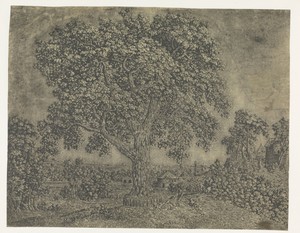 De grote boom