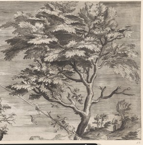 De heilige Filippus Benizi van de Servieten straft de godslasteraars