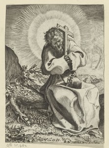 De heilige Franciscus van Assisi