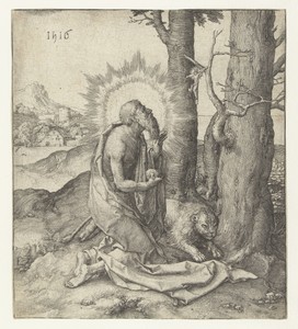 De heilige Hieronymus