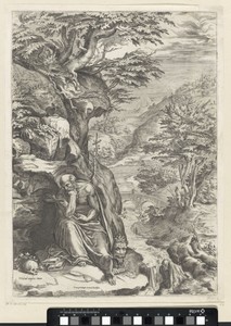 De heilige Hieronymus