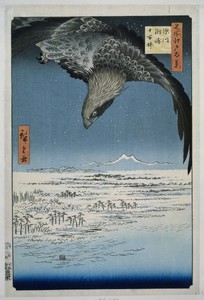 De Jumantsubo vlakte te Susaki bij Fukagawa