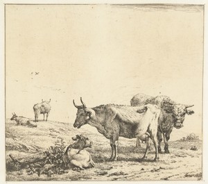 De koe, de stier en het kalf