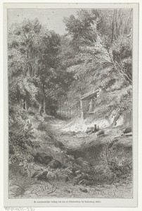 De noordoostelijke helling van den st. Johannesberg bij Budersberg