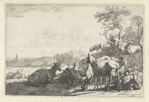 De schaapherder