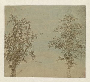 De twee bomen (een els en een es)