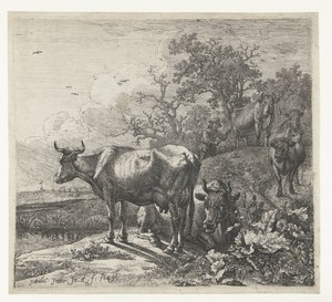 De veehoeder