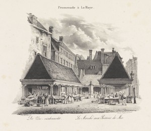 De vismarkt in Den Haag